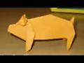 돼지접기 동영상