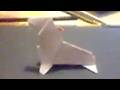 바다코끼리접기 동영상