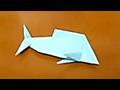 물고기접기 동영상