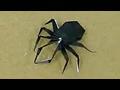 할로윈 거미접기 동영상