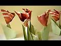 줄기달린 꽃접기 동영상