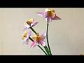 귀여운 꽃접기 동영상