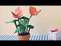 안투리움 꽃접기 동영상