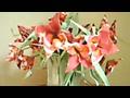 빨강 꽃접기 동영상