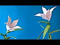 5잎 백합접기 동영상