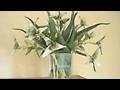 줄기,잎 달린 꽃접기 동영상