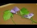 나팔꽃접기 동영상