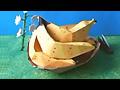 바나나접기 동영상